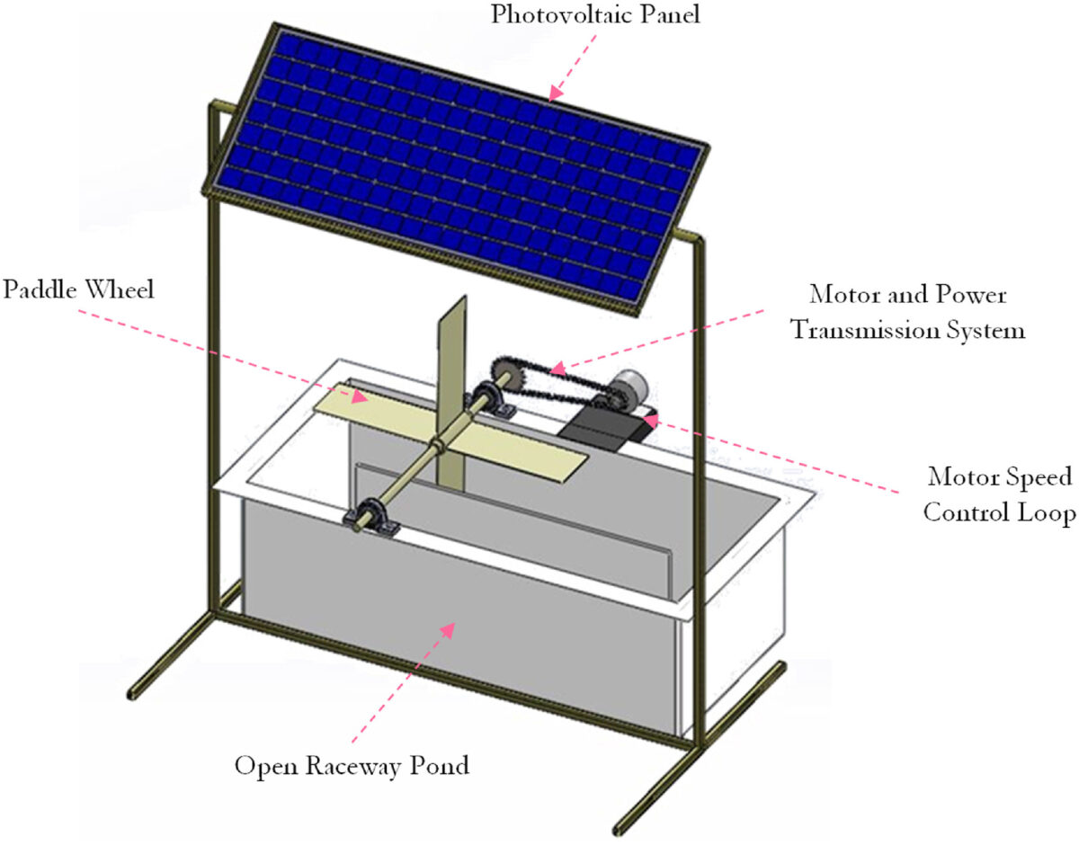 Sistema acuavoltaico revoluciona la producción de microalgas y reduce costos energéticos en acuicultura