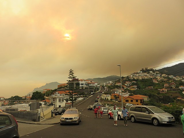 El impacto del humo de incendios forestales en la eficiencia de la energía solar en Estados Unidos